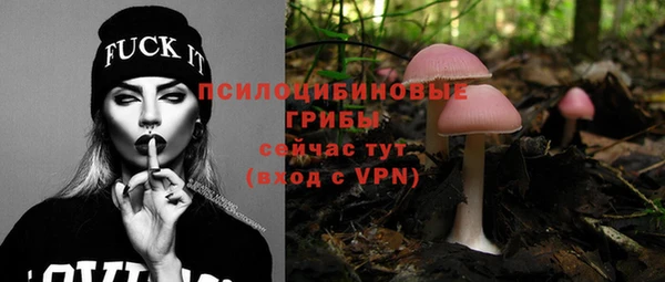 apvp Елизово
