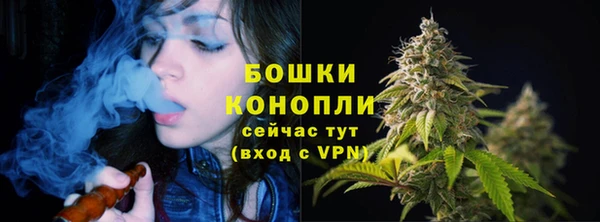 apvp Елизово