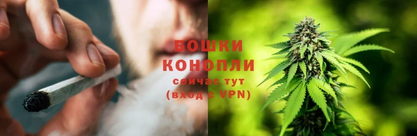 мяу мяу мука Ельня