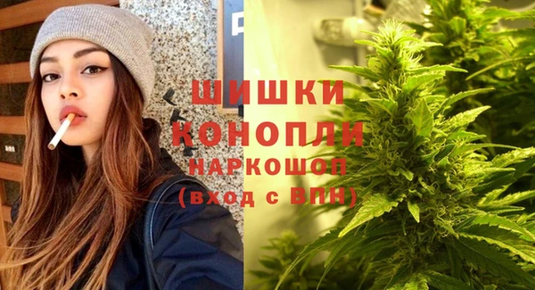 мяу мяу мука Ельня