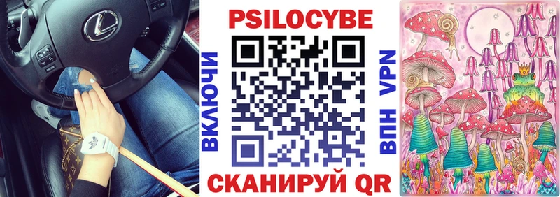 продажа наркотиков  Заинск  Галлюциногенные грибы Magic Shrooms 